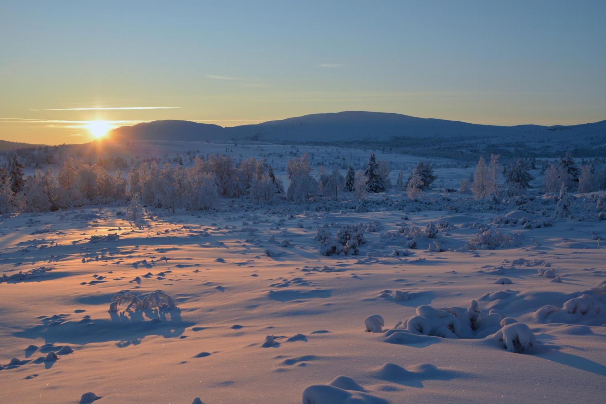 Spidsbergseter Resort Rondane Venabygd Экстерьер фото